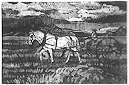 Haying etching Valerie Graves Southwest Artist 5K