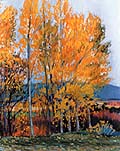 Aspens